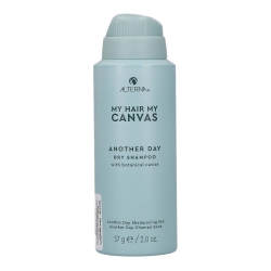 ALTERNA MY HAIR MY CANVAS Dry shampoo 57g