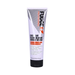 FUDGE EVERYDAY Regenerating and toning conditioner 250ml