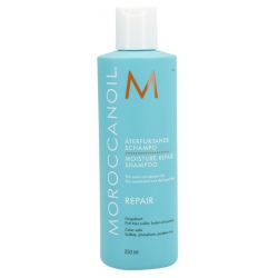 Moroccanoil Moisture Repair Shampoo Weakened Damaged Hair 250 ml