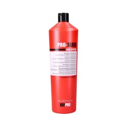 KAYPRO PRO-SLEEK Smoothing...