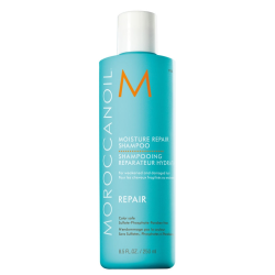 Moroccanoil Moisture Repair Shampoo Weakened Damaged Hair 250 ml