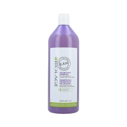 MATRIX BIOLAGE R.A.W RECOVER CARE Shampoo for Colour-Treated Hair 1000ml