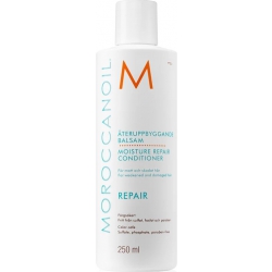 Moroccanoil Moisture Repair Conditioner Weakened Damaged Hair 250 ml